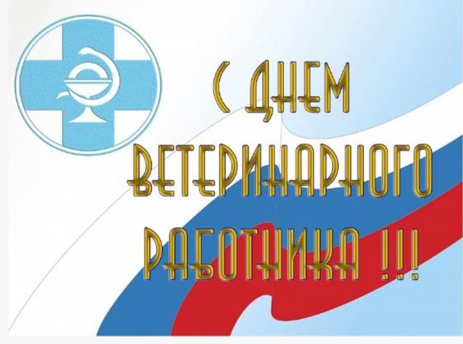 ������� ���������: ��������� ������������ ��������� ������������ �������������� ������! ���������� ��� � ���������������� ����������!