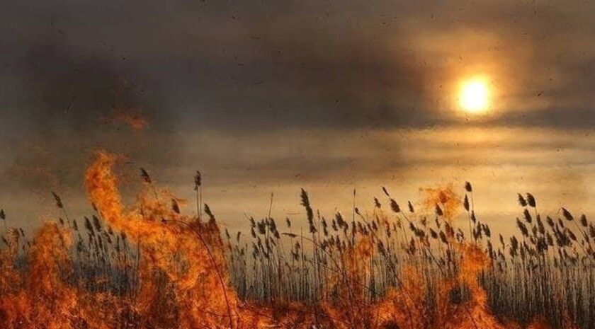 Пожары за выходные уничтожили более 180 га сухостоя и мусора в ЛНР