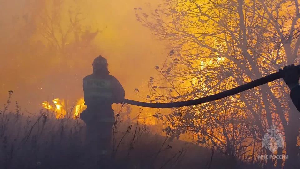 Спасатели МЧС России отстояли от стихийного огня населенный пункт Вахрушево
