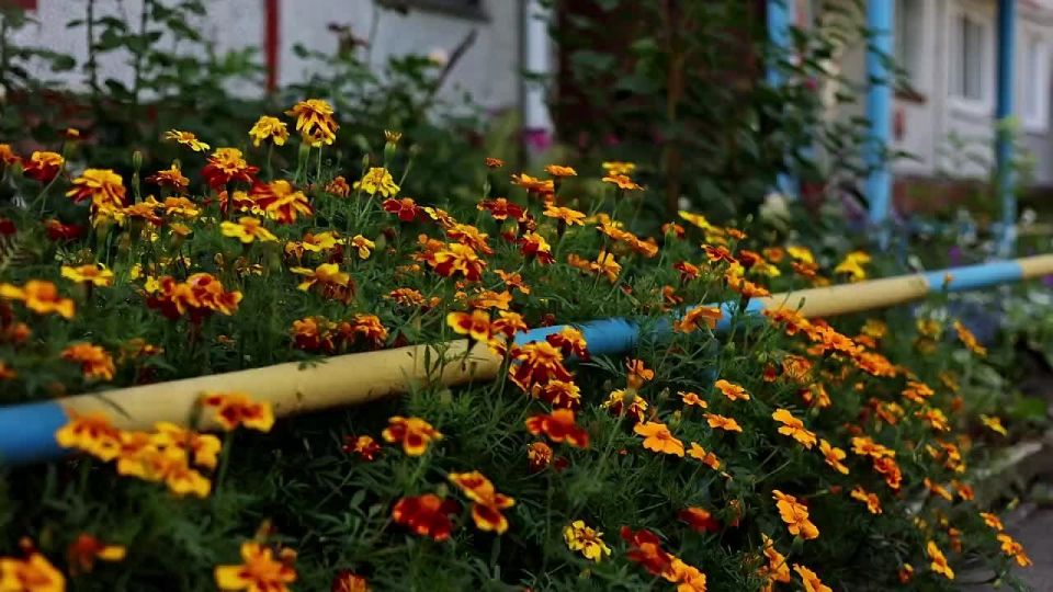 Юные омичи сплели браслеты для детей Стаханова