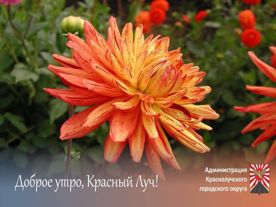 ������ ����, ������������ � ����� ������!