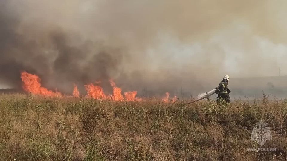 Спасатели МЧС России ликвидировали крупный природный пожар в Лутугинском районе
