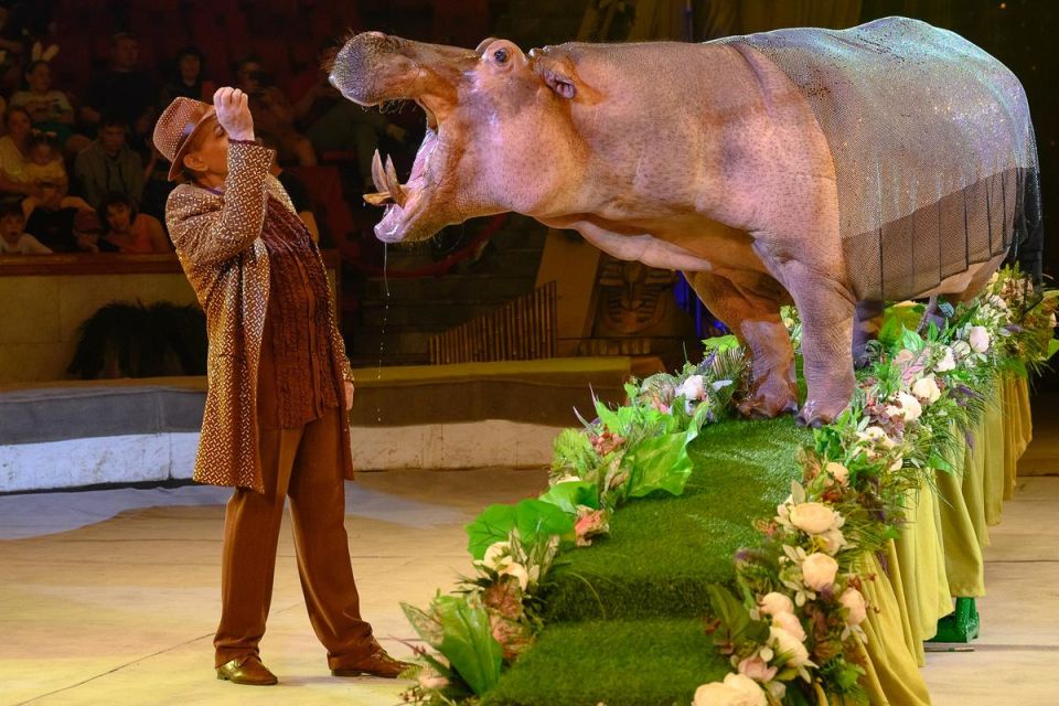 �������� ��������� �������-��� �������� � �������� � 13 ��������