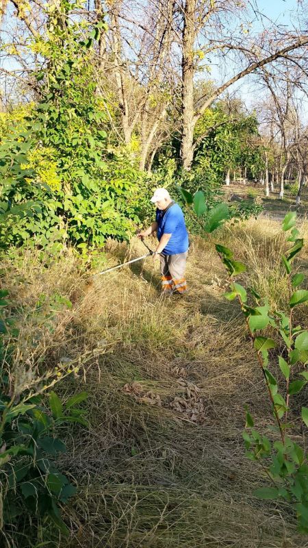 Сергей Козенко: В Краснодонском муниципальном округе продолжаются работы по благоустройству