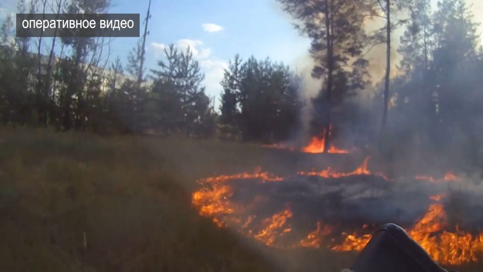 В луганском городе Счастье полицейские помогли потушить быстро распространяющийся лесной пожар