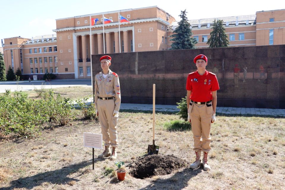 В Стаханове высадили «Петровские дубы»
