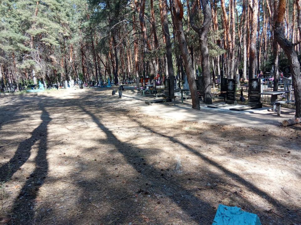 Владимир Чернев: Муниципальное бюджетное учреждение «Ритуальная служба» провело масштабный этап благоустройства территории кладбища в селе Чмировка