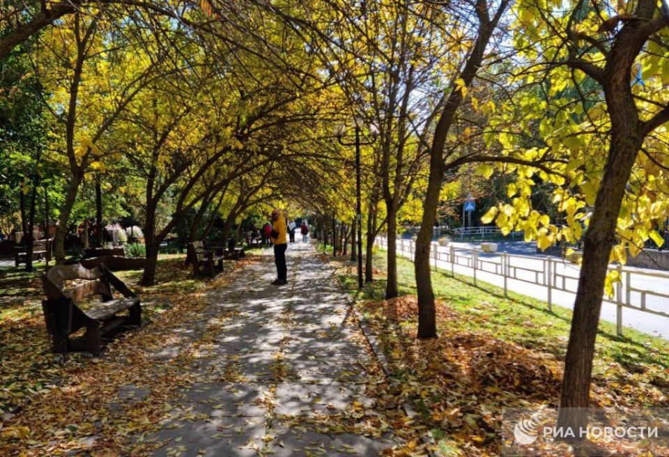 Погода на новых территориях России