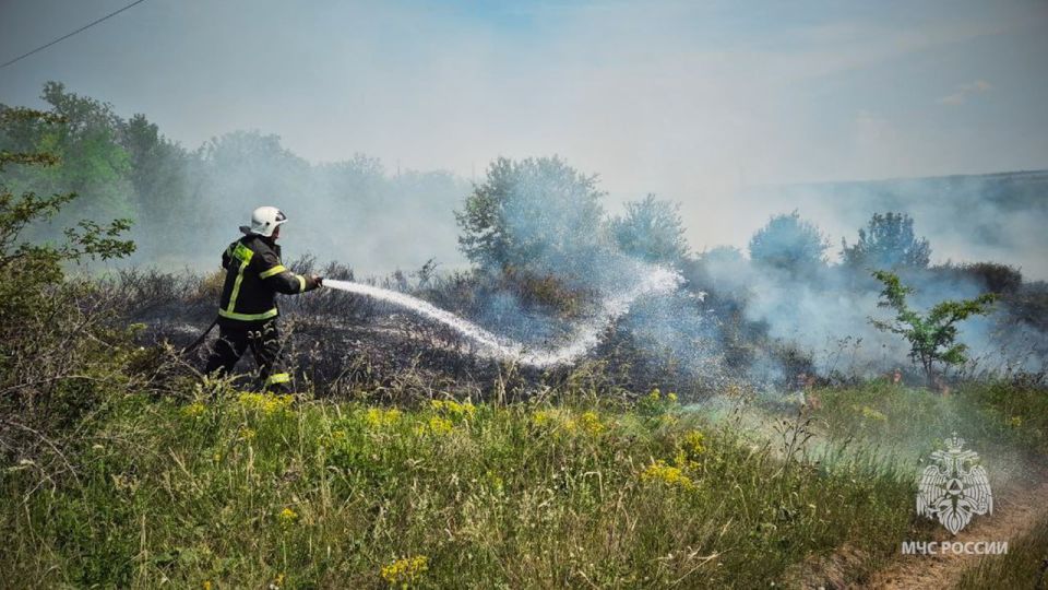 Жара понемногу спадает, но спасатели МЧС России продолжают ликвидацию сухотравных пожаров