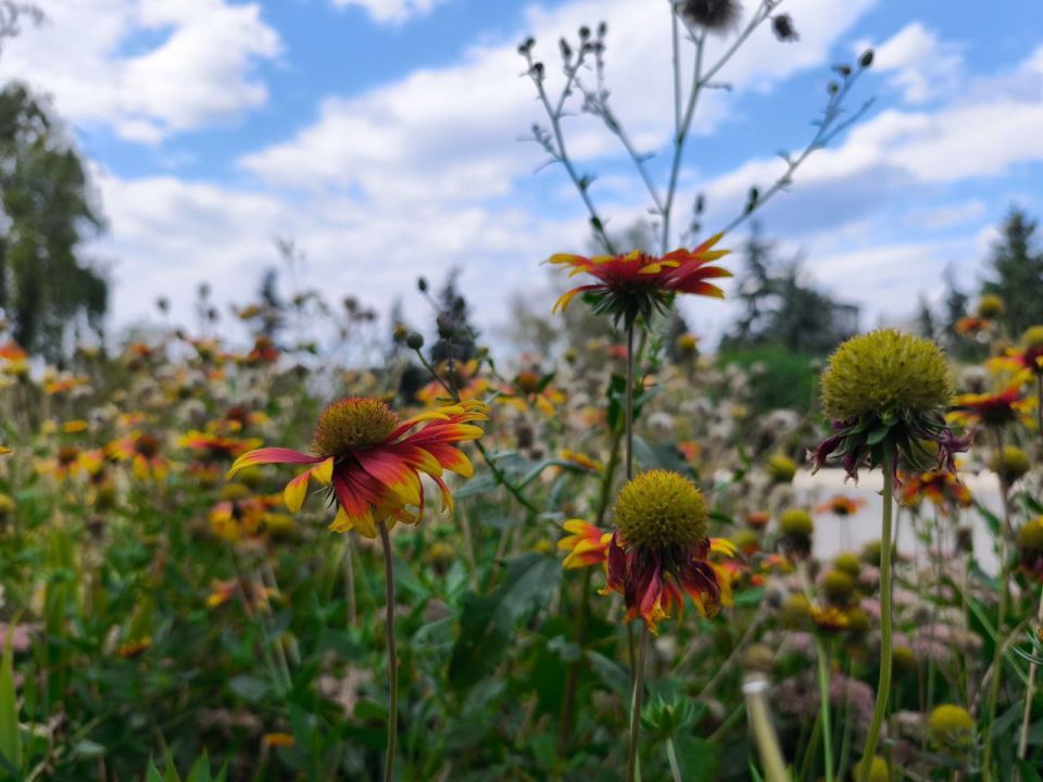 Доброе утро, кировчане!. Пусть этот день подарит Вам приятные эмоции и радость