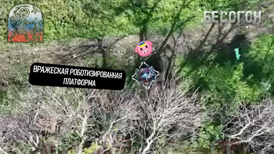 Отработка по нацикам из "Азова" на Сватово-Купянском направлении