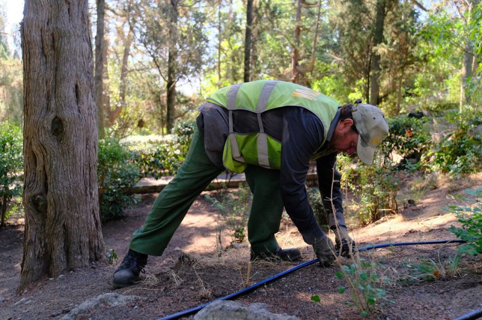 Полтора гектара зелёных зон будет охвачено системой полива в Ялте до конца года