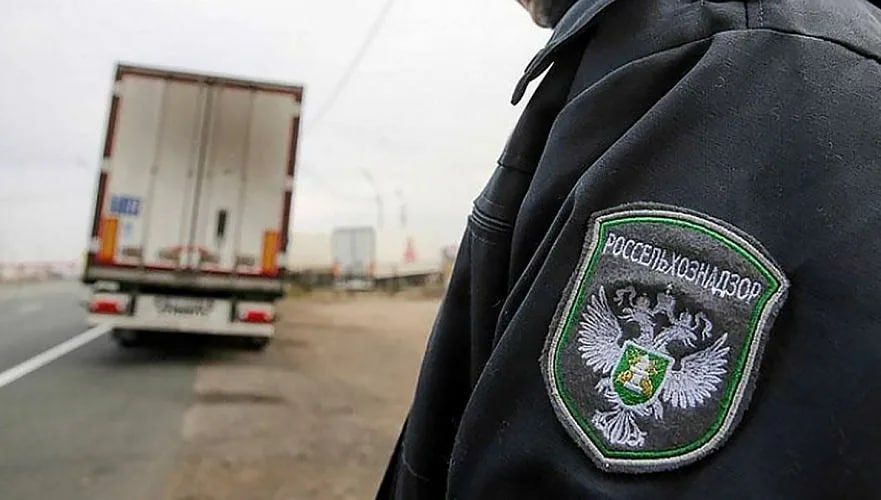 Россельхознадзор пресёк незаконную перевозку скота и молочной продукции в ЛНР
