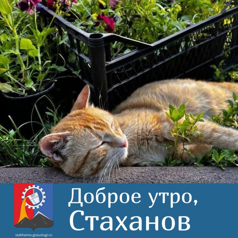 Доброе утро, Стаханов!. Сегодня можно официально ничего не делать и считать это планом на день