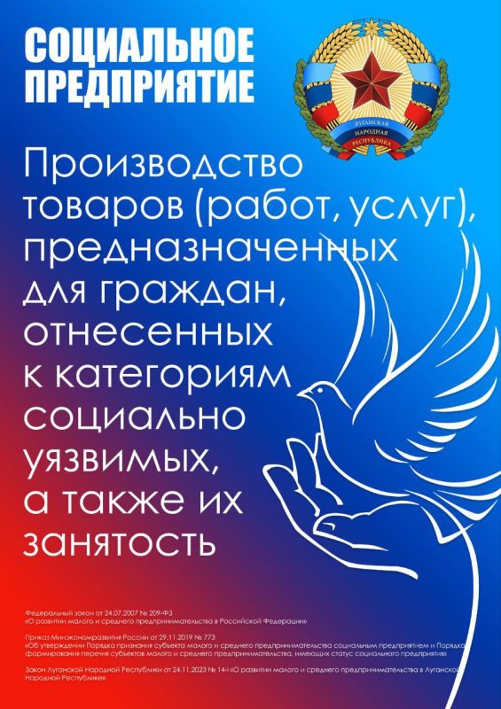 СОЦИАЛЬНОЕ ПРЕДПРИЯТИЕ. Производство товаров (работ, услуг), предназначенных для граждан, отнесенных к категориям социально уязвимых, а также их занятость