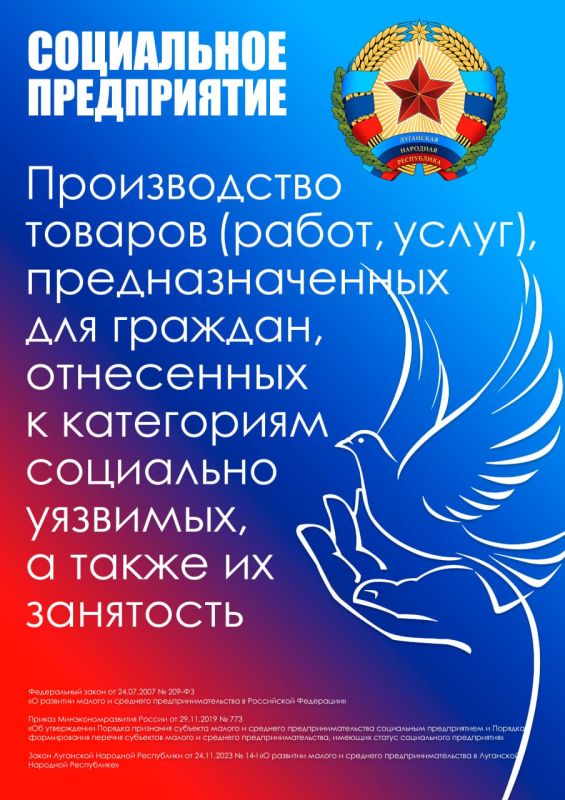 Информационные (справочные) материалы по социальному предпринимательству