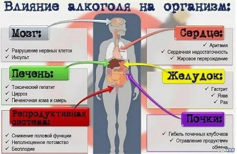� 8 �� 14 �������� ����������� ������ ���������� ����������� �������� � ��������� � ��� ���������� � �������������� (������������ �� ��� ��������� � 11 ��������)