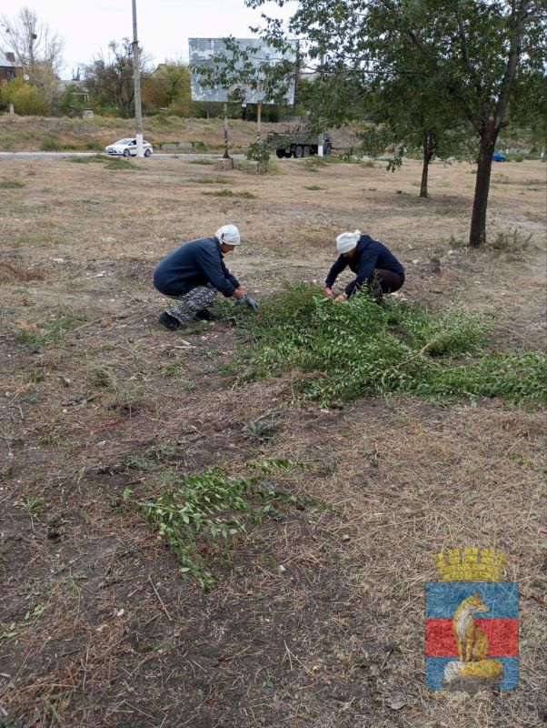 Лисичанск активно приводят в порядок: коммунальщики на страже чистоты и благоустройства