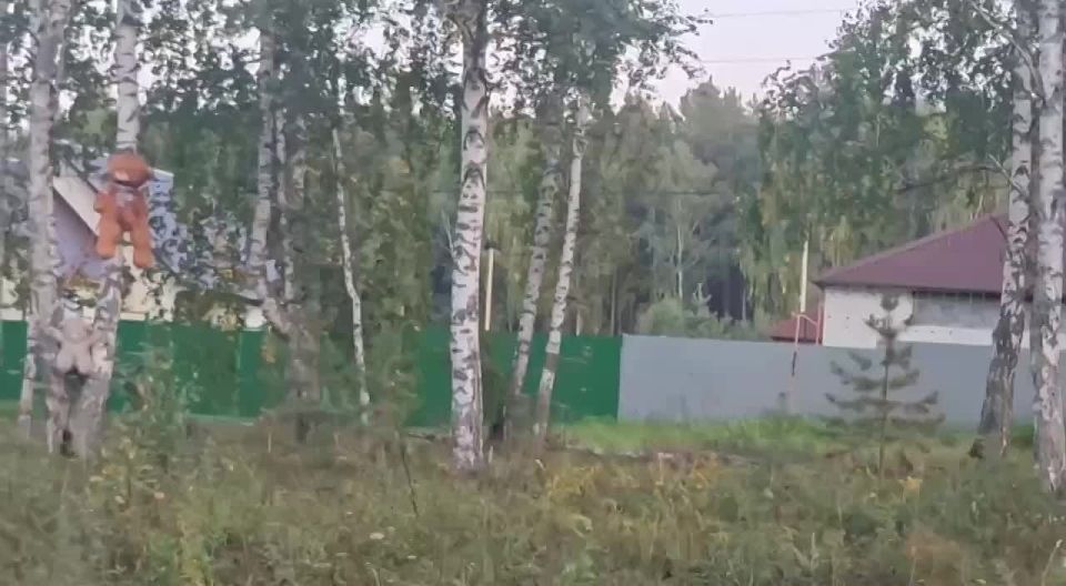 �˸�� ������ �������-��������