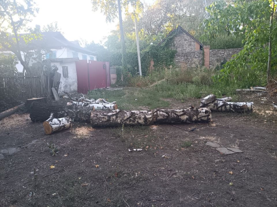 Андрей Рубанцов: Безопасность ровенчан превыше всего: МУП «СКАТ» проводит работы по уборке ствола аварийной березы у дома №11 по переулку Карла Маркса