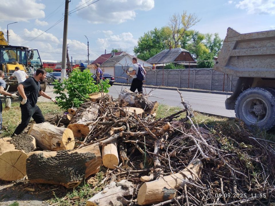 В Луганске проходят субботники в рамках подготовки к юбилею города