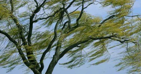 ВНИМАНИЮ НАСЕЛЕНИЯ города Кировска и подведомственных поселков!