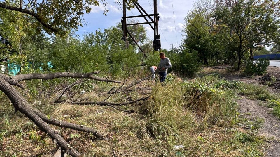 Андрей Рубанцов: Благоустройство придорожной территории по улице Волкова пгт Дзержинский!