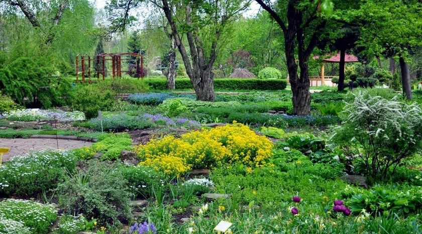 ������������ ��� � �������� ����� ���� ������ ��� ��������� ��������� � �������