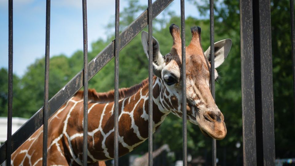 � �������� ������� �������������� �������� �� ���������� ����� ��������