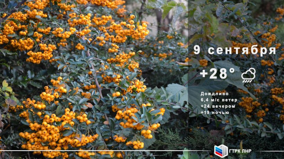 Доброе утро, Луганская Народная Республика!