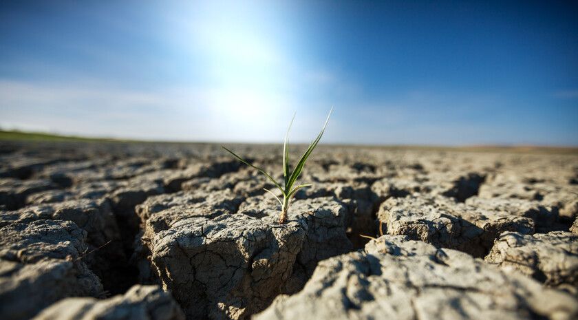 ������ ���������� ������� ����� ����� �� ��-�� ������