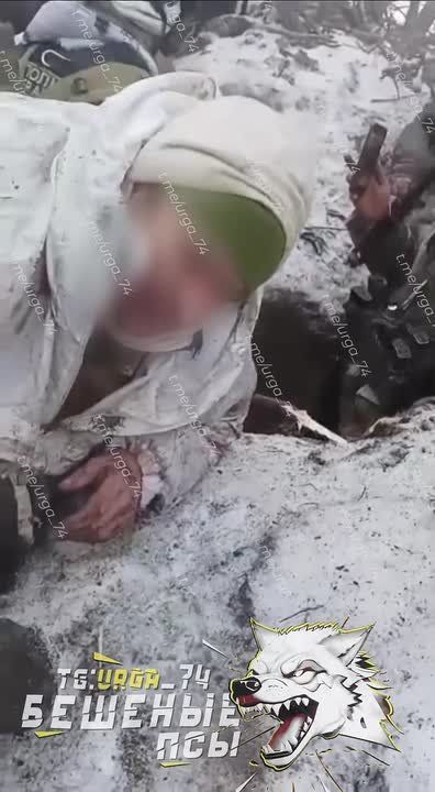 Архивные зимние кадры взятия штурмовой группой 74-й ОМсБр опорного пункта 79-й ОДШБр ВСУ на направлении Сватово-Кременная