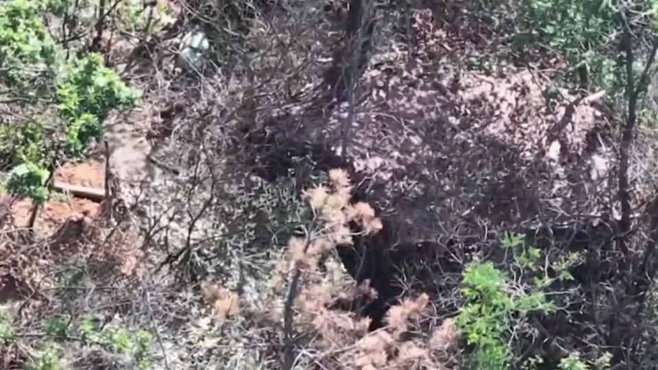 �������������� 2-� ����������� �������������� ������� 3 ����� ����� ����������� ����� ������� ����������� ���������� ����� ���������� ���� ���������� �������� � ������������ �����������