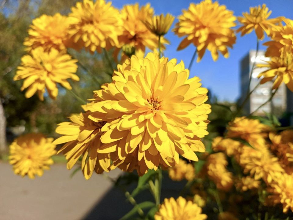 Доброе утро, кировчане!. Пусть ваше настроение будет солнечным, а день принесёт только положительные эмоции! @agklnr #Кировск