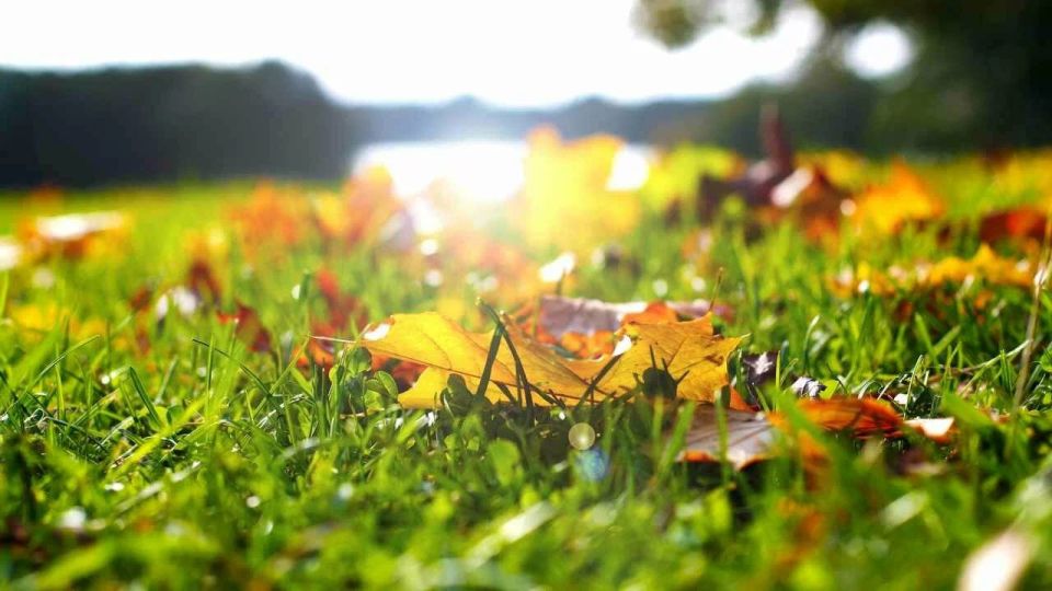 ����������� ����������������� ����� � ��� ��������� ������������ �� ����� ������ ������ �������