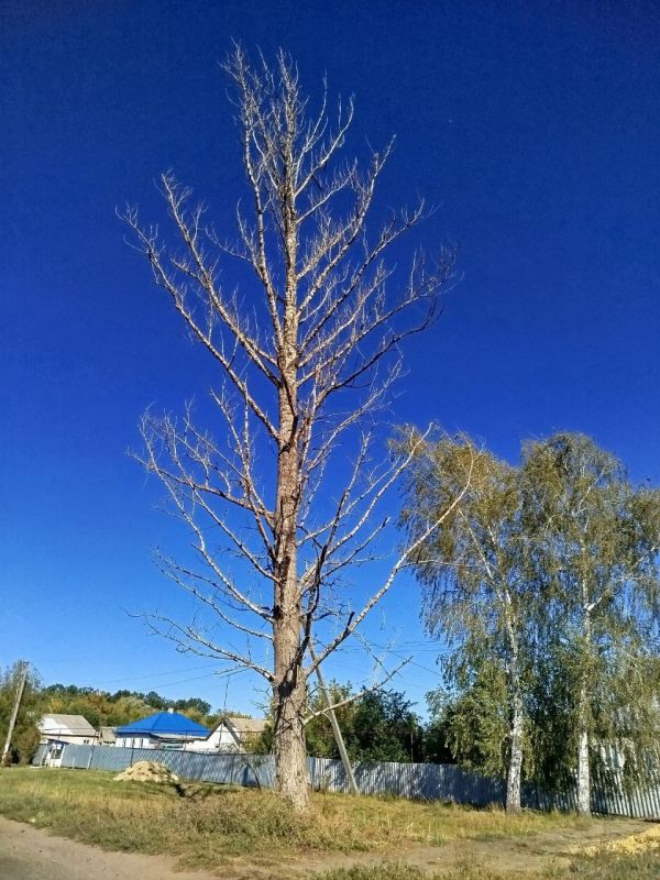В адрес Администрации Старобельского муниципального округа поступило обращение от жителей села Шульгинка