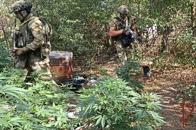 Подпольная нарколаборатория в ЛНР ликвидирована при содействии Росгвардии (видео)