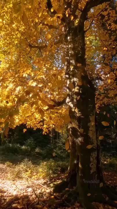 � ������ ������� ����� ������������� �����! ��������� ���������� ������� ������!