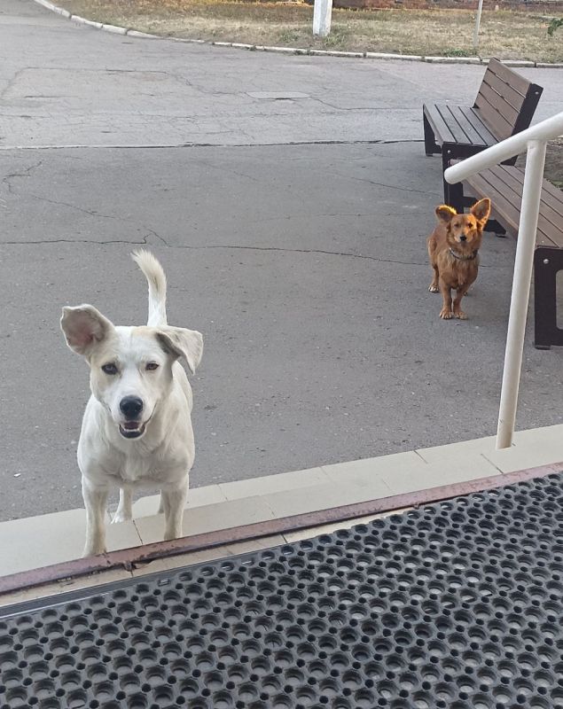 13 сентября на территории Луганской Народной Республики прогнозируется переменная облачность