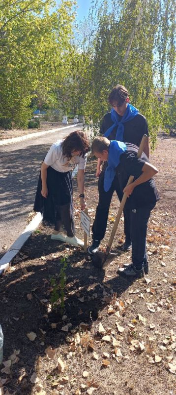 В Перевальске прошло мероприятие «Аллея памяти»