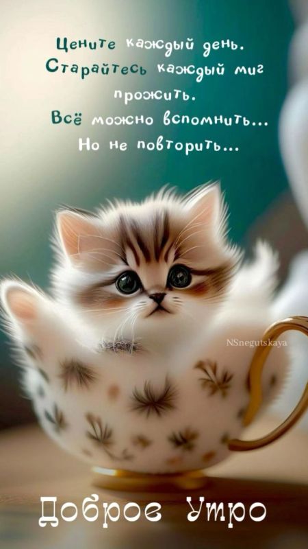 � ������ �����, ������������� �����!