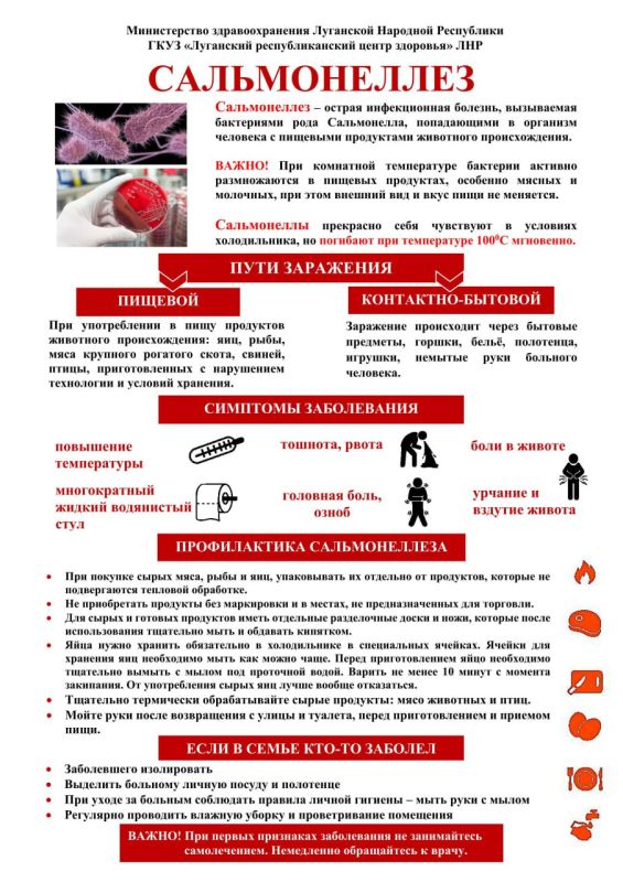 ������������ � ������������ �����������, ���������� ���������� ���� Salmonella