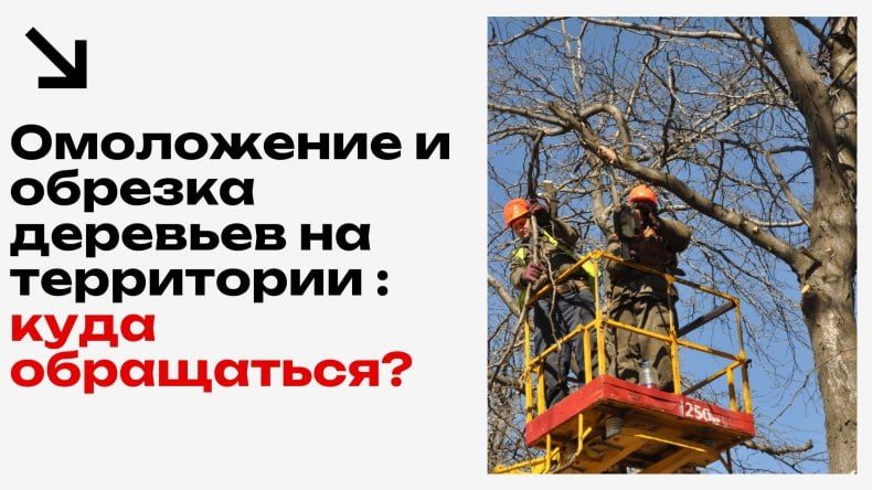 ���������� � ������� �������� �� ���������� ������������� ������: ���� ����������?