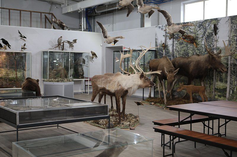  ,         , , , ,        ...