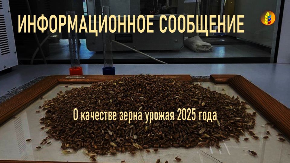 Луганские аграрии демонстрируют рост качества зерна урожая 2025 года