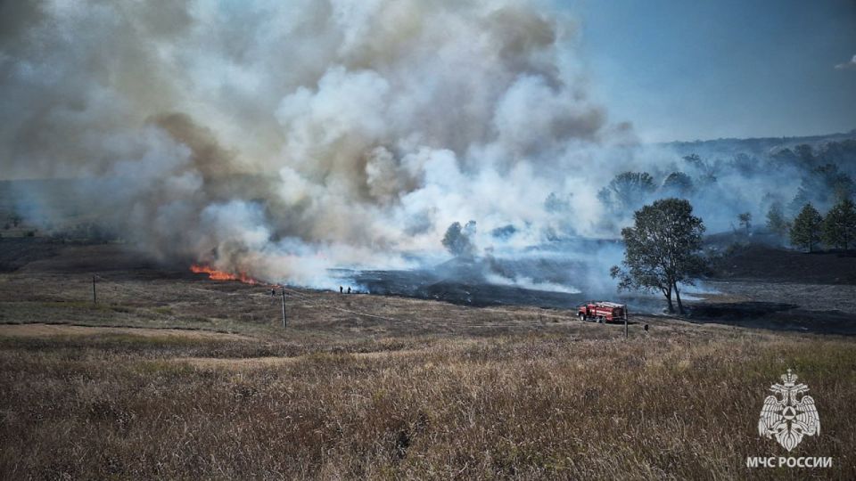 За выходные в ЛНР выгорело более 123 гектаров