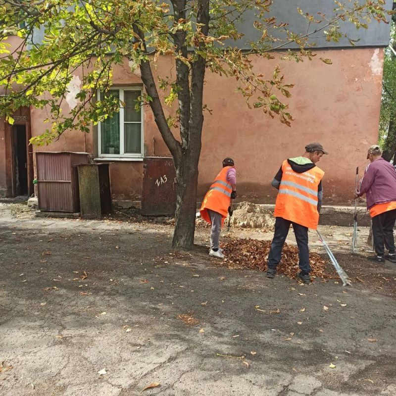 Чистота и порядок во дворе многоквартирного дома важны не только для красоты, но и для удобства жителей