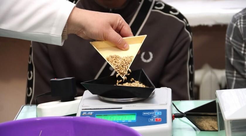 Число агротехнологических классов, где углубленно изучают агрономию, зоотехнию, ветеринарию и агроинженерию, в ЛНР за три года выросло до 17. Об этом ЛИЦ сообщили в Министерстве сельского хозяйства и продовольствия...