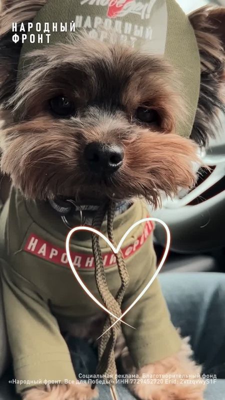 ��� � ������� ����.... ...������������ �������� ������ ������ � �� � ����� ��������