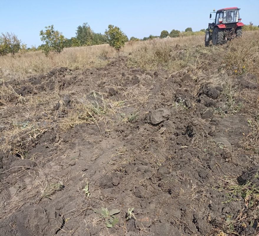 Андрей Рубанцов: Работа по обеспечению безопасности в городском округе в пожароопасный период продолжается
